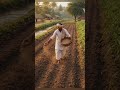 Desi Tractor Boss 🚜🔥 | Seed Dropping in Fields 🌾 | Cinematic Indian Farming Vibes 💯#kisan #plowing