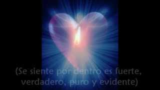 Watch Aterciopelados Chamanica video