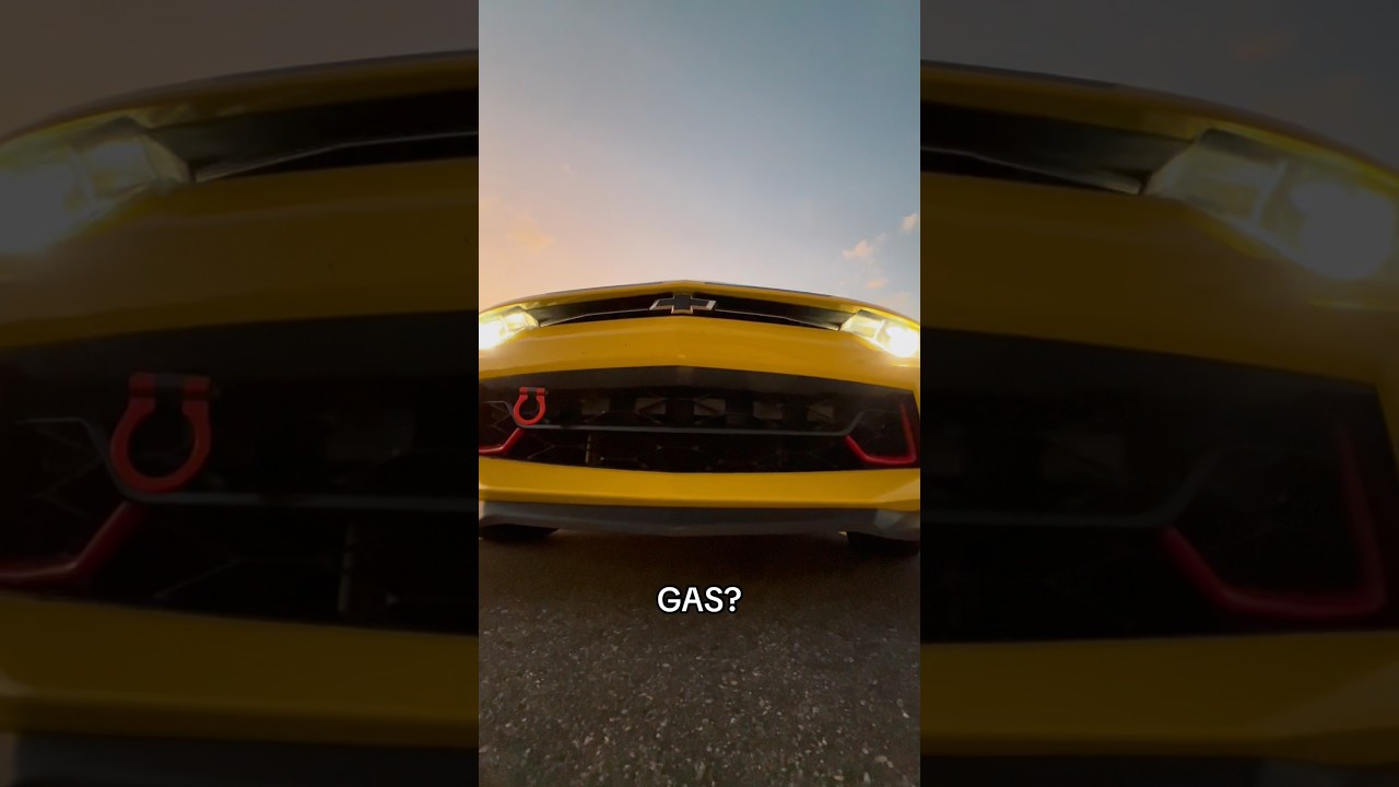 Like yooo BACK UP 😐 