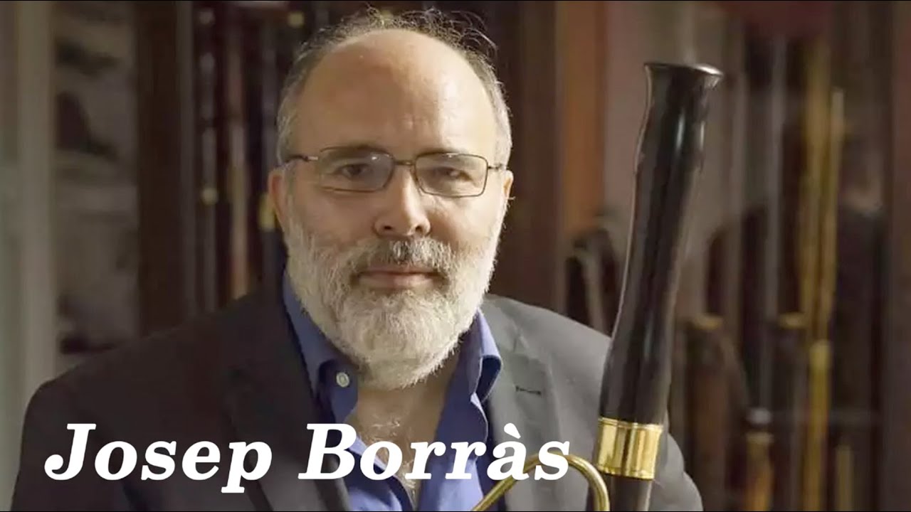 Play the Violin sheet music with Josep Borras/ Vivaldi: Bassoon Concerto in C Major, RV 477