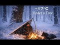 No Tent. No Sleeping Bag. −17°C Under a Tree in a Snowstorm