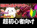 【パズドラ】パズドラを始めた初心者の方へ