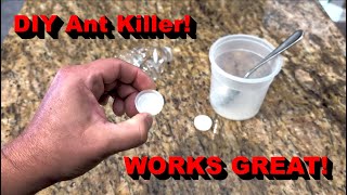 How To Make Ant Killer With Stuff In Your Kitchen!