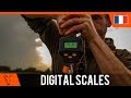 Peson digital scales  fox  pche  la carpe fox tv
