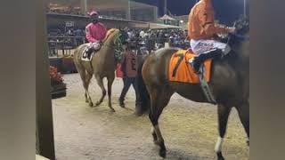 INSTYGATOR  wins trail #8 for the texas classic futurity at lone star park ( 11-8-2020)