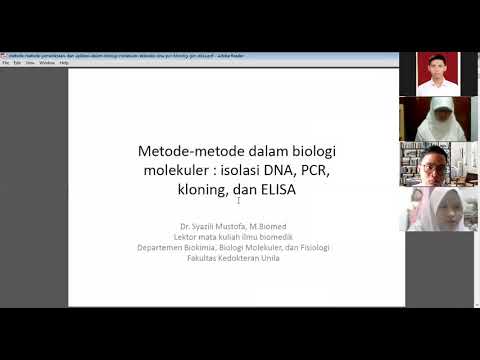 Video: Disosiasi Jaringan Tumor Padat Dengan Protease Aktif Dingin Untuk RNA-seq Sel Tunggal Meminimalkan Respons Stres Terkait Kolagenase Yang Dilestarikan