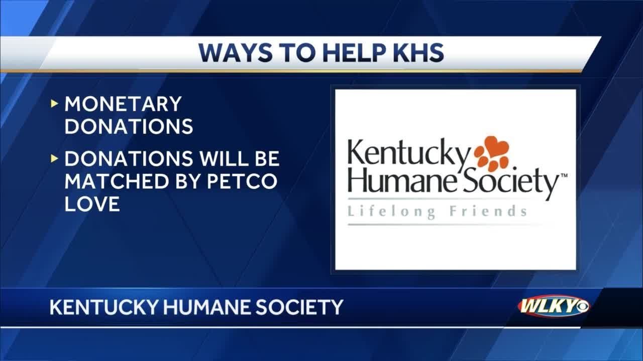 Kentucky Humane Society making final push to reach donation goals for