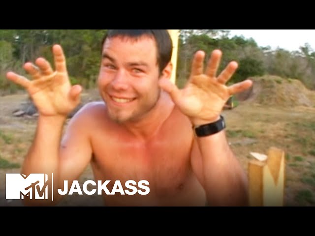 Slip & Slide (2001) | Jackass - YouTube