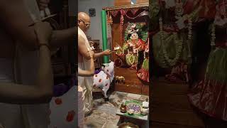 नवकानन श्री राधाकृपाश्राय