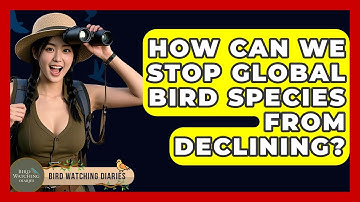 How Can We Stop Global Bird Species From Declining? - Bird Watching Diaries