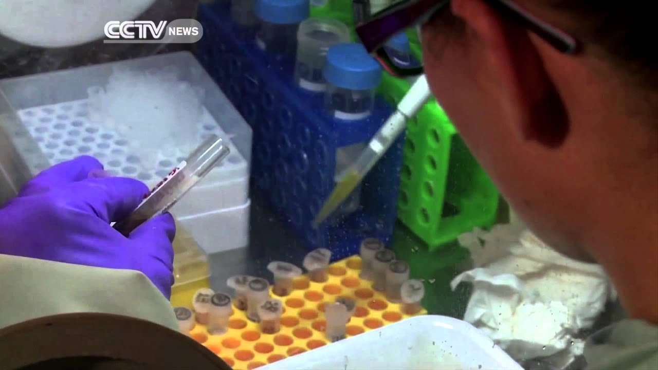 Ebola: Chinese Lab  Helps in Curbing the Ebola Epidermic