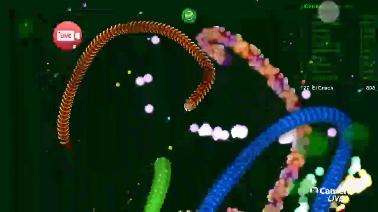 wormax.io en vivo yegar al puesto numero 10