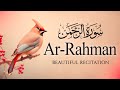 New tilawat 2024  beautiful quran recitation 2024  surah rahman 2024      