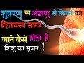 How does sperm meet female cell to form embryo