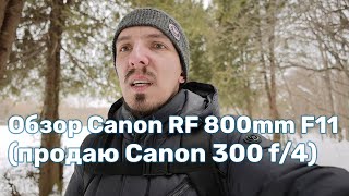 Обзор Canon RF 800mm F11 IS STM (продаю Canon EF 300mm f/4L IS USM)