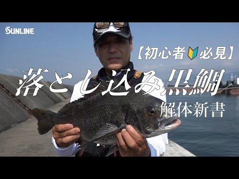 落とし込み　チヌ　黒鯛 1-1 3日間の割引、もう値引き交渉は不要 年無しチヌ56.5cm【落とし込み・前打ち・へチ】都内black sea