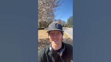 When the Scenery Steals the Show: A Hilarious Backdrop Reveal!