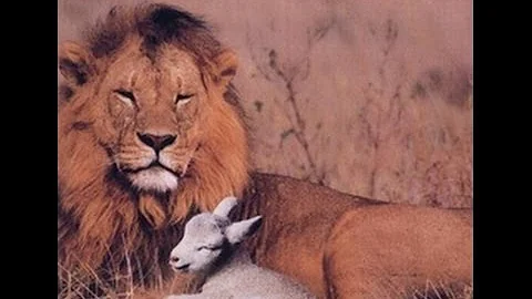 THE HONORABLE MINISTER LOUIS FARRAKHAN: THE TIME AND WHAT MUST BE DONE PT 3 (MUSICAL)