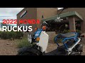 2022 Honda Ruckus 49cc Scooter Review of Specs, Features + Walkaround | 3 New Colors and 114 mpg!