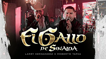 Larry Hernandez X Roberto Tapia - El Gallo De Sinaloa (En Vivo)