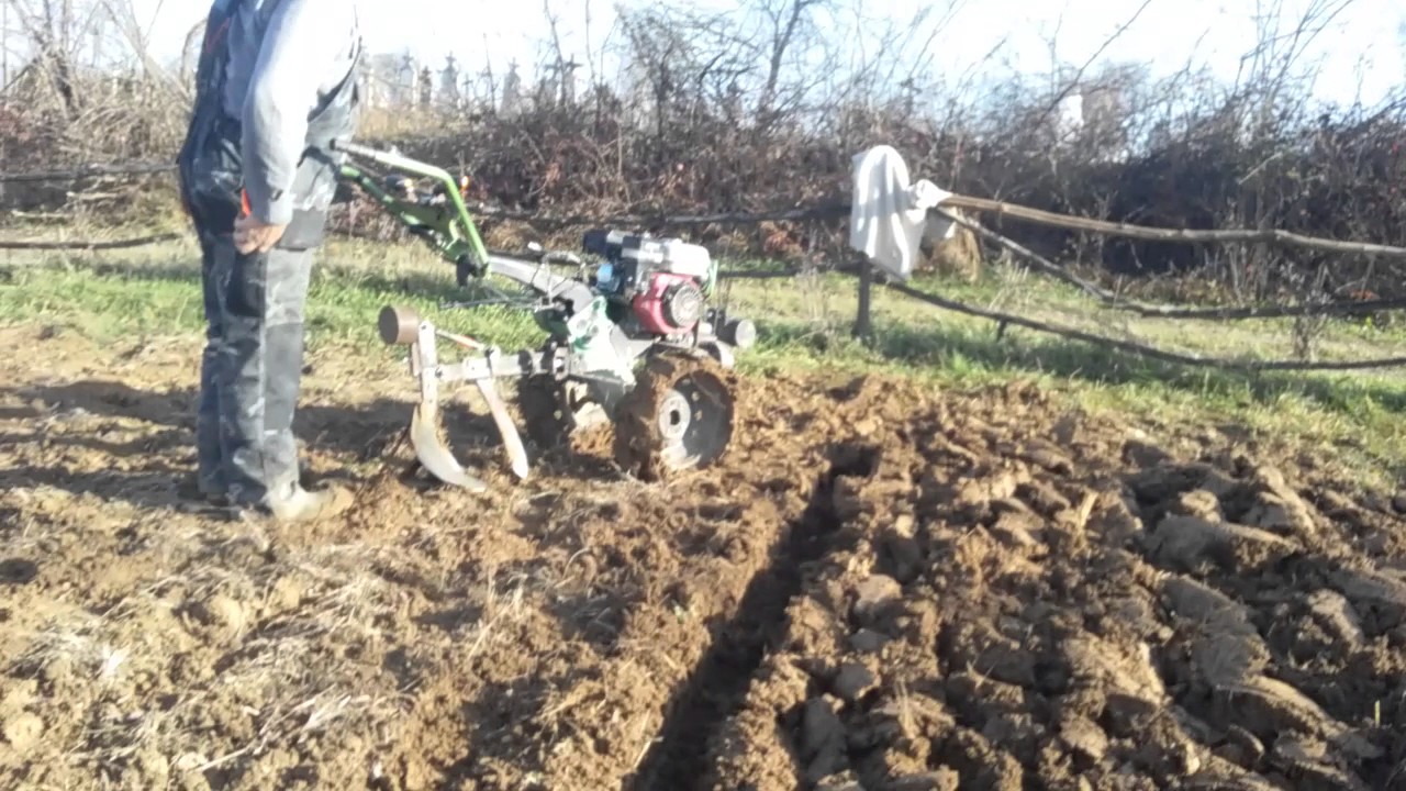 Cu motosapa WM500 ZS 500 B-3 de 7cp transmisie din fonta.( La aratura de toamna ).