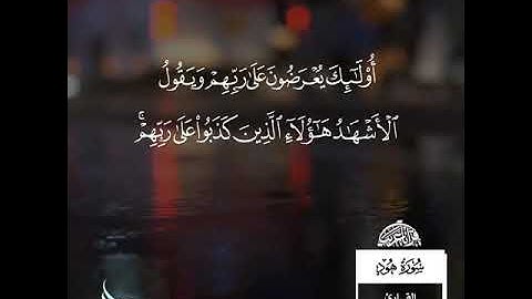 مصطفى اللاهوني - سورة هود