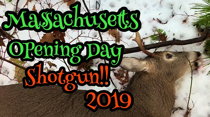MASSACHUSETTS opening day of shotgun. (SUCCESS!!)