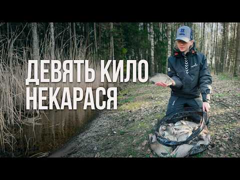 Ехали за карасем, а клевали... Рыбалка с фидером на Зельвенском водохранилище весной