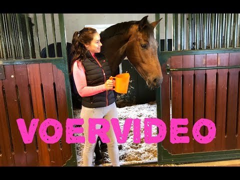 Video: Wat kaf moet ik mijn paard voeren?