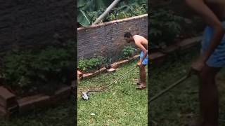 Download Lagu Een man wordt achtervolgd door een #tegus #reptielen #voeren #huisdieren #hagedis #fyp #shorts #grappig #fails #wildedieren MP3