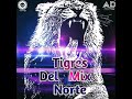 ARMAND DJ Tigres Del Norte Mix