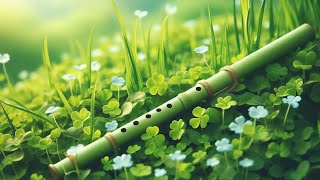 Gentle soft flute music - Peace and comfort screenshot 3