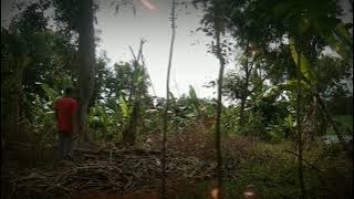 video anak petani, kata kata mutiara.😎