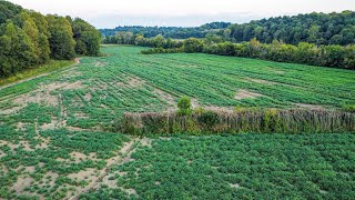 FOR SALE 53 811 - Acres in Muhlenberg County KY