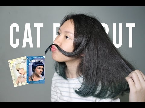 Video: Cara Mewarnai Rambut Biru: 14 Langkah (dengan Gambar)