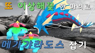 [이상해꽃 특집 4편]이상해꽃 한 마리로 메가갸라도스 잡기 Mega Gyarados Duo Raid Using Venusaur Only