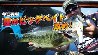 Katsutaka Imae's Summer Big Bait Attack in Kinsha-ho - YouTube