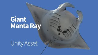 Giant Manta Ray. Unity Asset