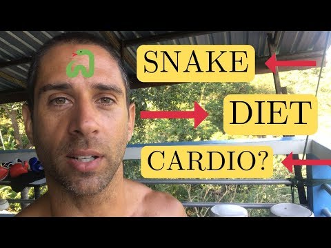 is-snake-diet-cardio-really-the-best-type-of-cardio-for-weight-loss?