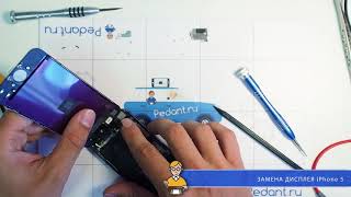 Замена стекла (дисплея) на iPhone 5 в сервисе Pedant.ru