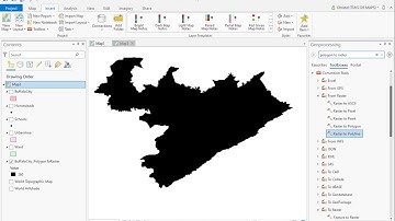ArcGIS Pro Vectorising