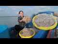Fresh tiny shrimp | Buy tiny shrimp by boat for making recipe | Tiny shrimp cooking process