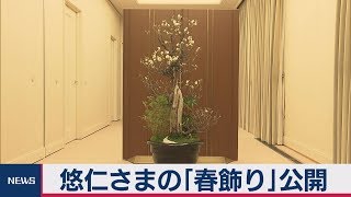 悠仁さまの「春飾り」公開