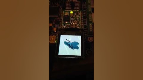 OLED-C Click Sprite Animation Demo for MikroBusNet