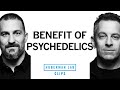 The utility of psychedelics  dr sam harris  dr andrew huberman