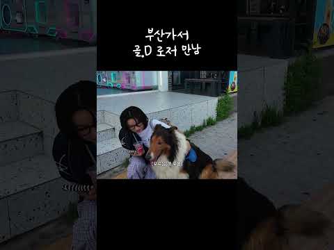 모르는개