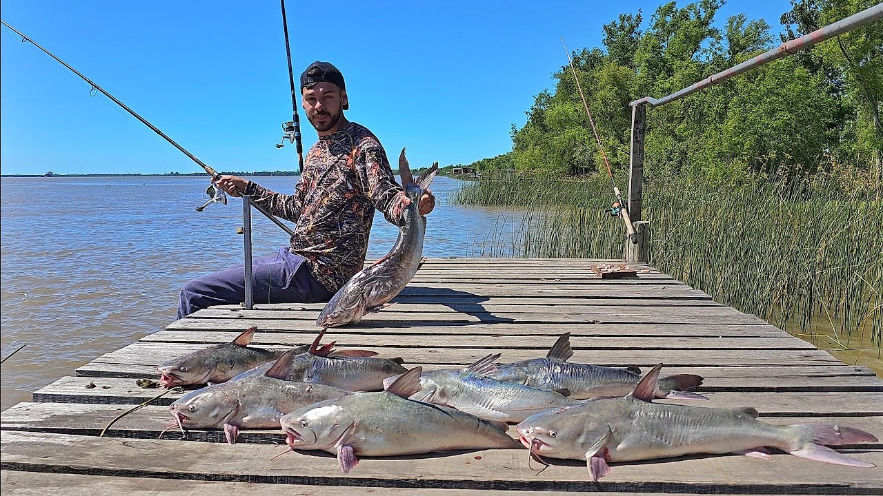 ACA SALEN BAGRES GRANDES DE COSTA!!🔥🔥🔥 MIMOSOS DE MUELLE. RIO GUAZU