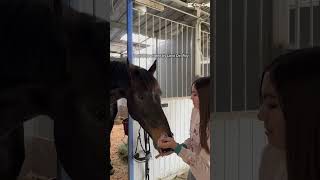 Aww Chacano