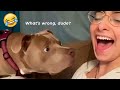 Bark At Your Dog Challenge- Funny Dog Reaction Videos| Pets Island