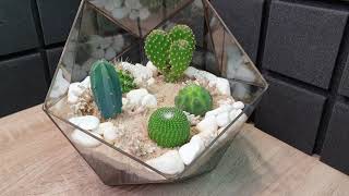 DIY Mini Cactus Gardens - Флорариум из кактусов
